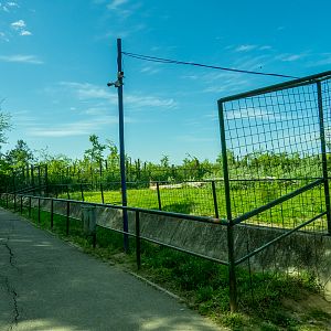 enclosure of brown bear