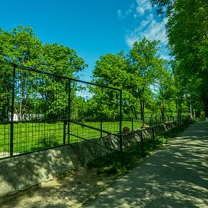 enclosure of brown bear
