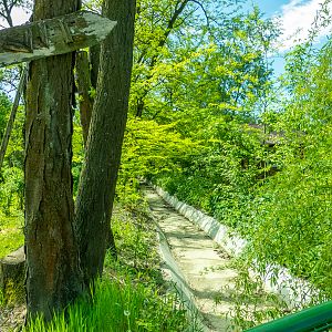 exp. former enclosure of Asian black bear