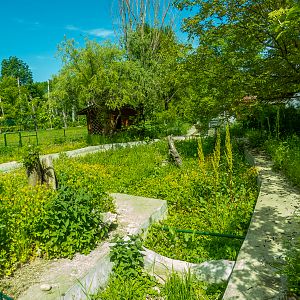 exp. former enclosure of Asian black bear