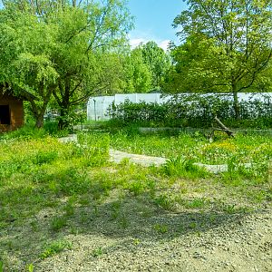 exp. former enclosure of Asian black bear