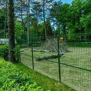 enclosure of collared peccary