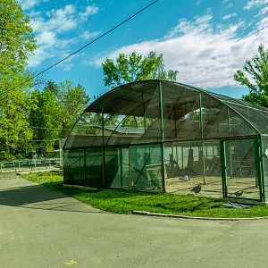 pheasantry incl. chicken