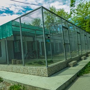 pheasantry incl. chicken