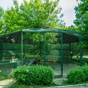 pheasantry incl. chicken