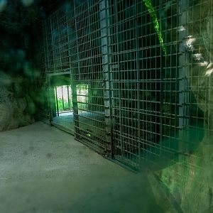 indoor enclosure of jaguar