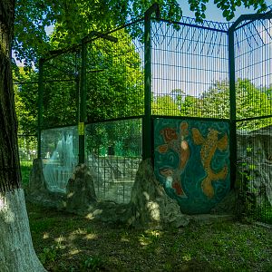 enclosure of siberian tiger