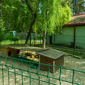 enclosure of rabbits