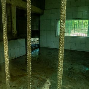 indoor enclosure of hamadryas baboon