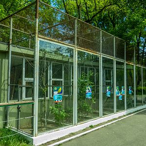 enclosure of parrots