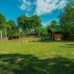 enclosure of ritaca sheep