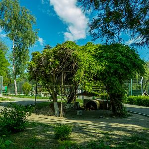 enclosure of red-legged seriema