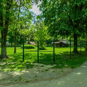 enclosure of sheep and goats