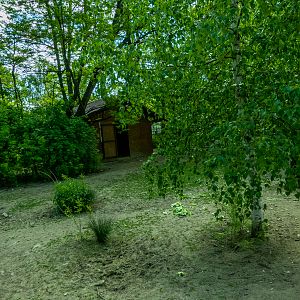 enclosure of ostrich