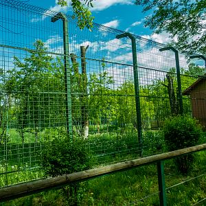 enclosure of tiger #1