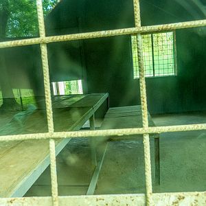 indoor enclosure of tiger