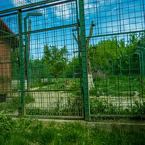 enclosure of tiger #2