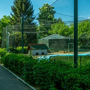 enclosure of ducks and goose