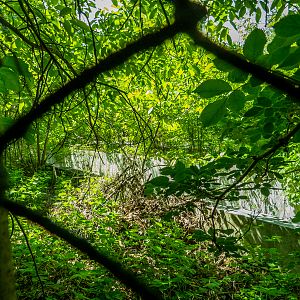 old unknown enclosure (next to lions)