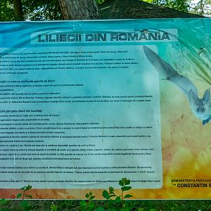 sign about Romanian bats