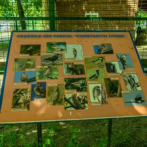 sign about Romanian birds