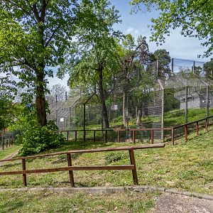 enclosure of brown bear