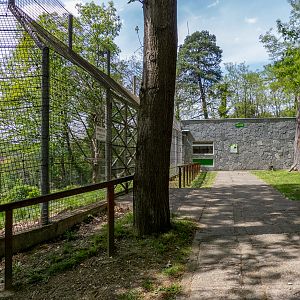 enclosure of brown bear