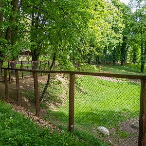 enclosure of emu, rhea and wallabies