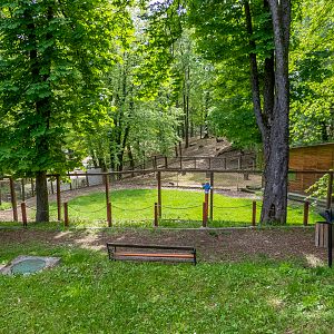 enclosure of emu, rhea and wallabies