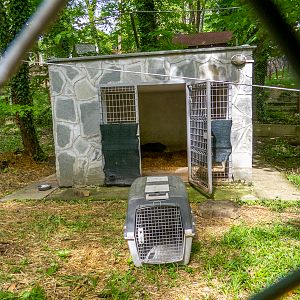 enclosure of porcupine (former red fox)