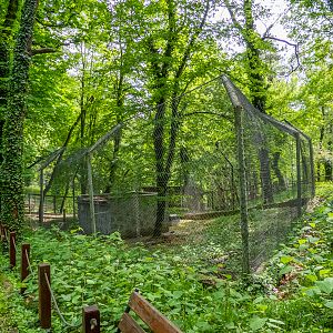 former enclosure of wolves