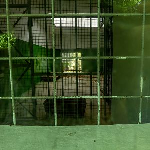 former indoor enclosure of wolves