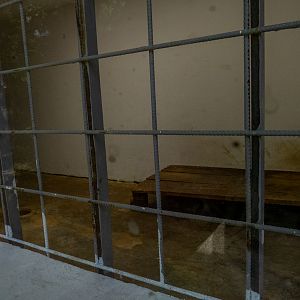 indoor enclosure of jaguar