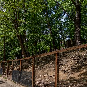 enclosure of cameroon sheep
