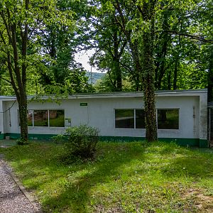 indoor enclosure of hamadryas baboon