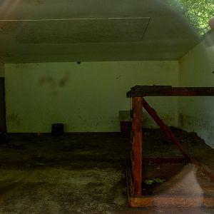 indoor enclosure of hamadryas baboon