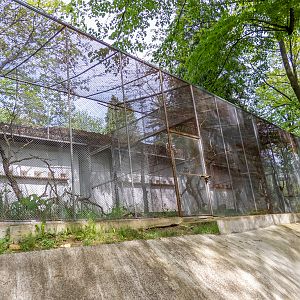 enclosure of parrots