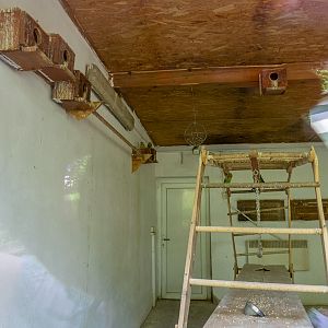 indoor enclosure of parrots