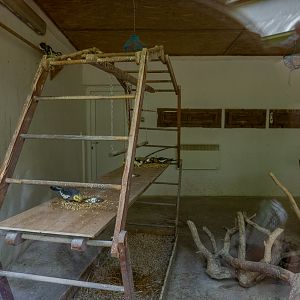 indoor enclosure of parrots