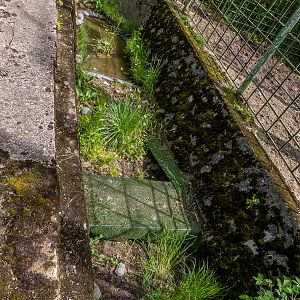 enclosure of turtles