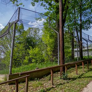 enclosure of siberian tiger