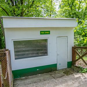 former enclosure of porcupines