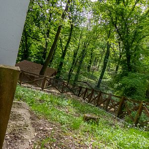 former enclosure of porcupines