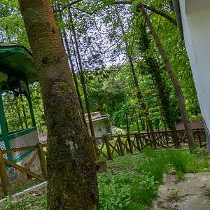 former enclosure of porcupines