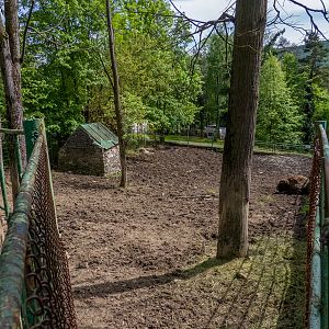 enclosure of european bison