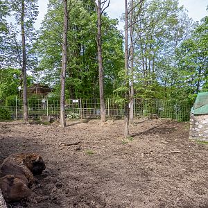 enclosure of european bison