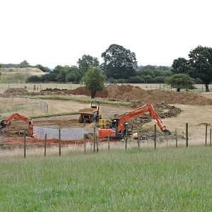 Macaque & Anoa Progress