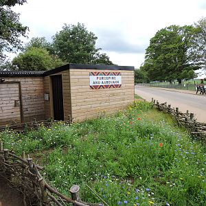 Aardvark Indoor Viewing