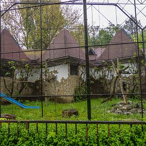 enclosures of monkeys