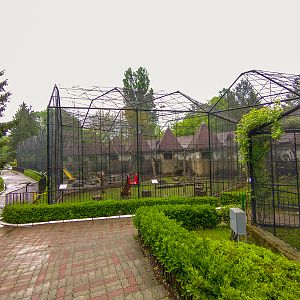 enclosures of monkeys